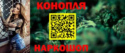 стаф Новокубанск