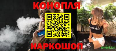 стаф Новокубанск