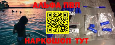 стаф Новокубанск