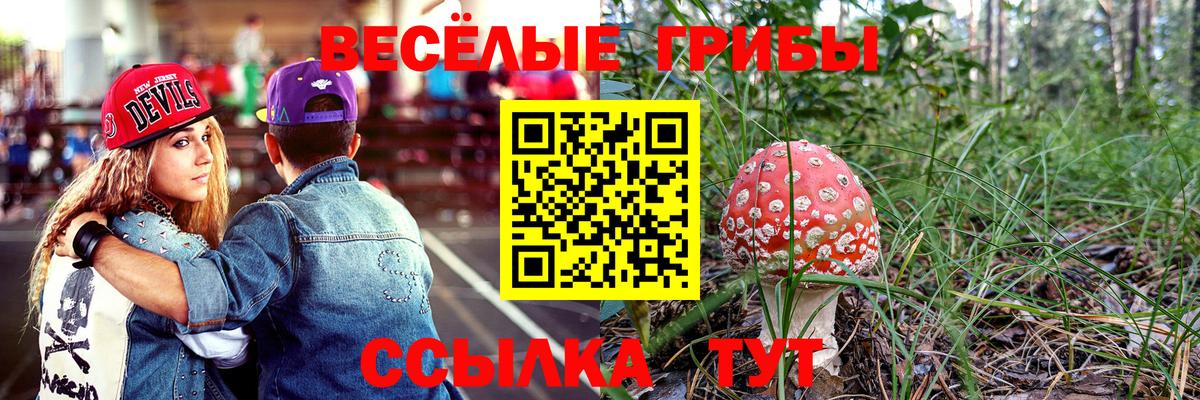 Псилоцибиновые грибы Psilocybe Сердобск