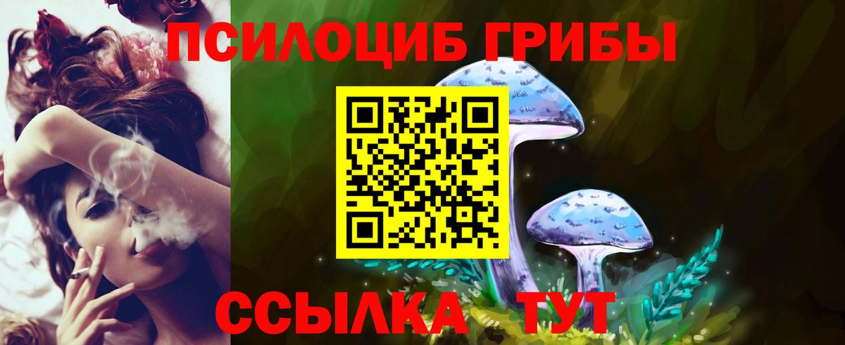 Псилоцибиновые грибы ЛСД  Вход с VPN  Сердобск  Галлюциногенные грибы Cubensis 